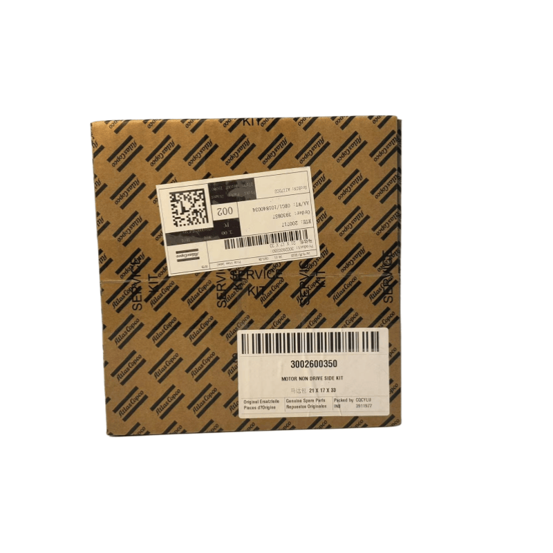 Original 3002600350 Atlas Copco Motor Non Drive Side Kit para compressores de parafuso injetado de óleo