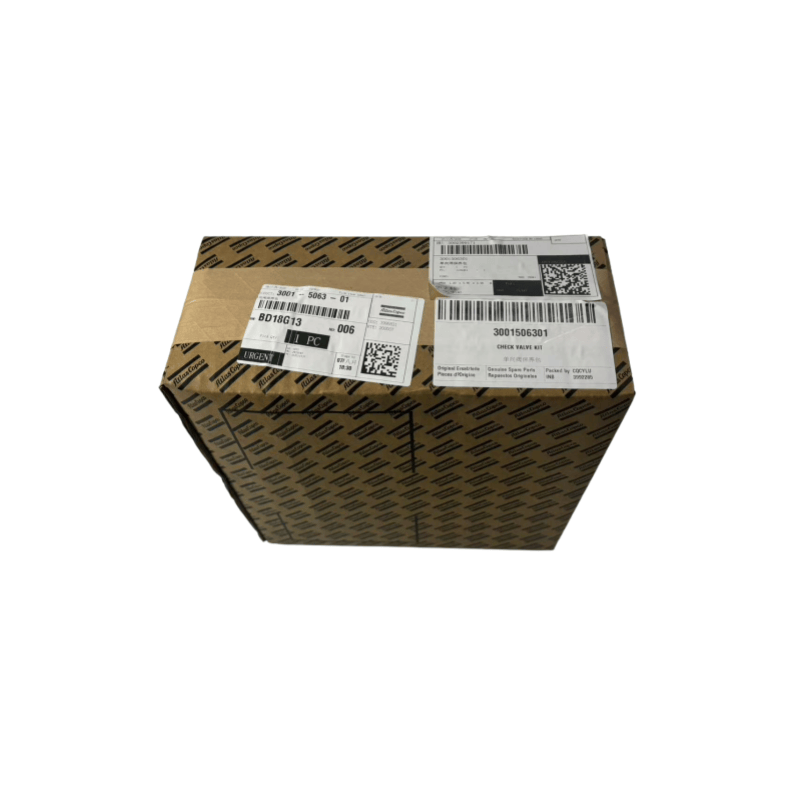 Original 3001506301 Atlas Copco Oil Compressors Free Compressors Válvula de Verificação Kit